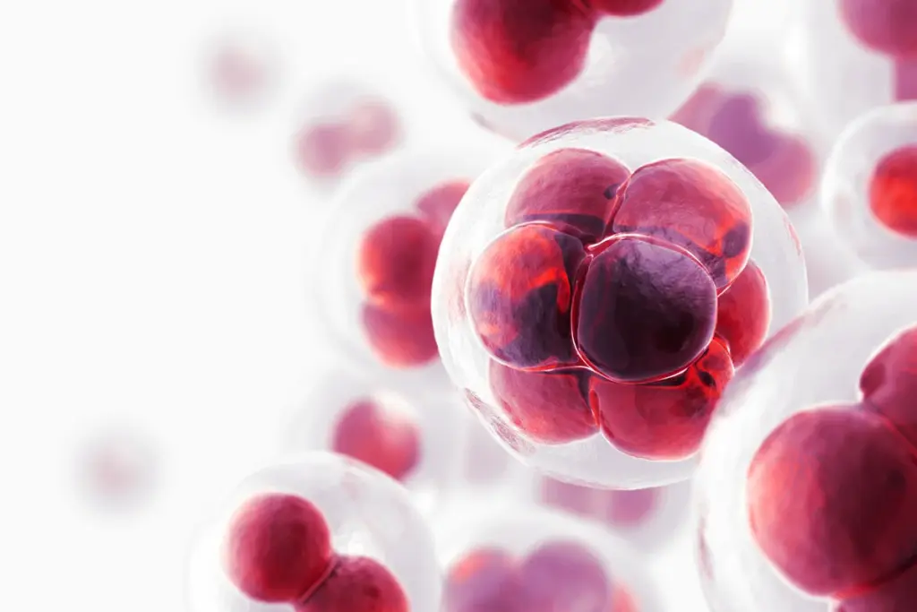 image 4 145 LIV Hospital