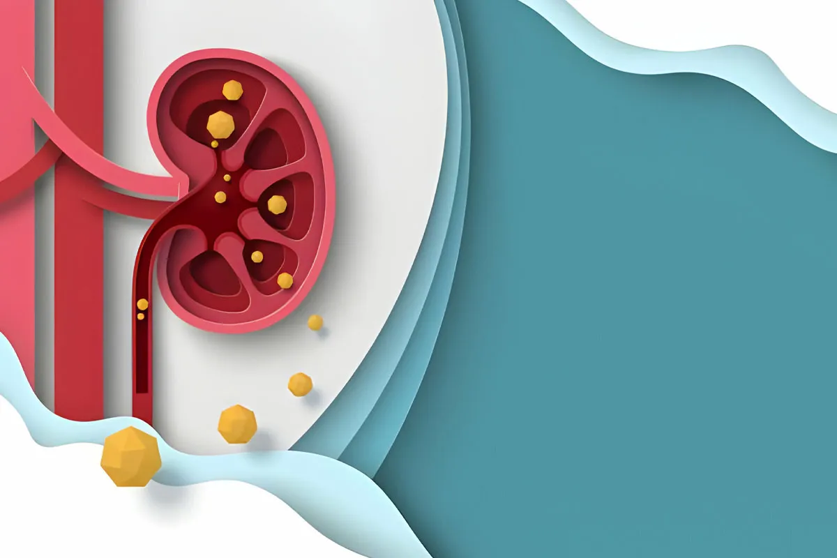 Long-Term Outlook and Kidney Function