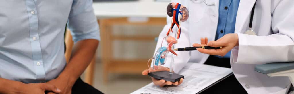 urologists advise patients about prostate problems treatment cancers urinary tract male reproductive organs concept mens health problems closeup pictures 1 LIV Hospital