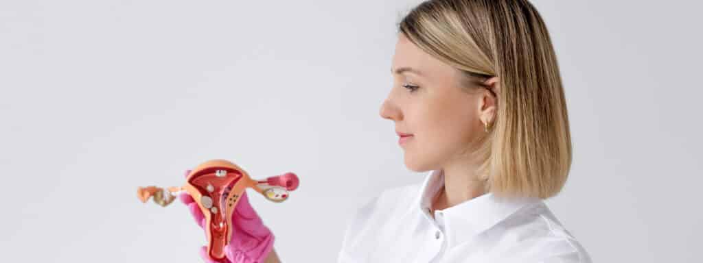 gynecologist demonstrates artificial model female uterus as visual aid students study 1 LIV Hospital