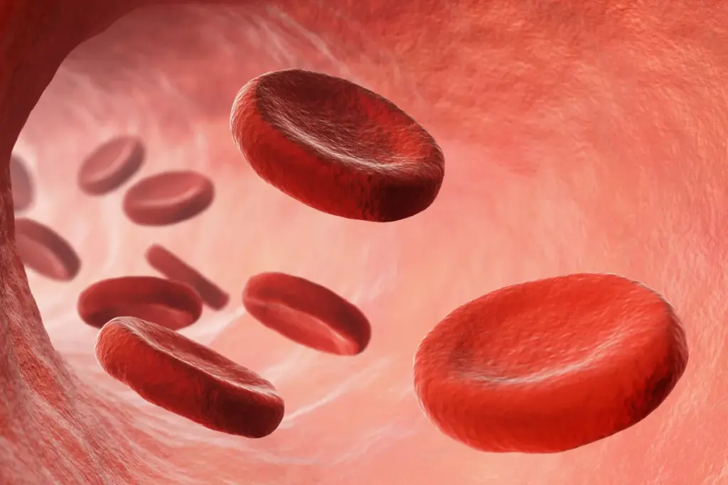 Neonatal Sepsis: Growth and Prevention