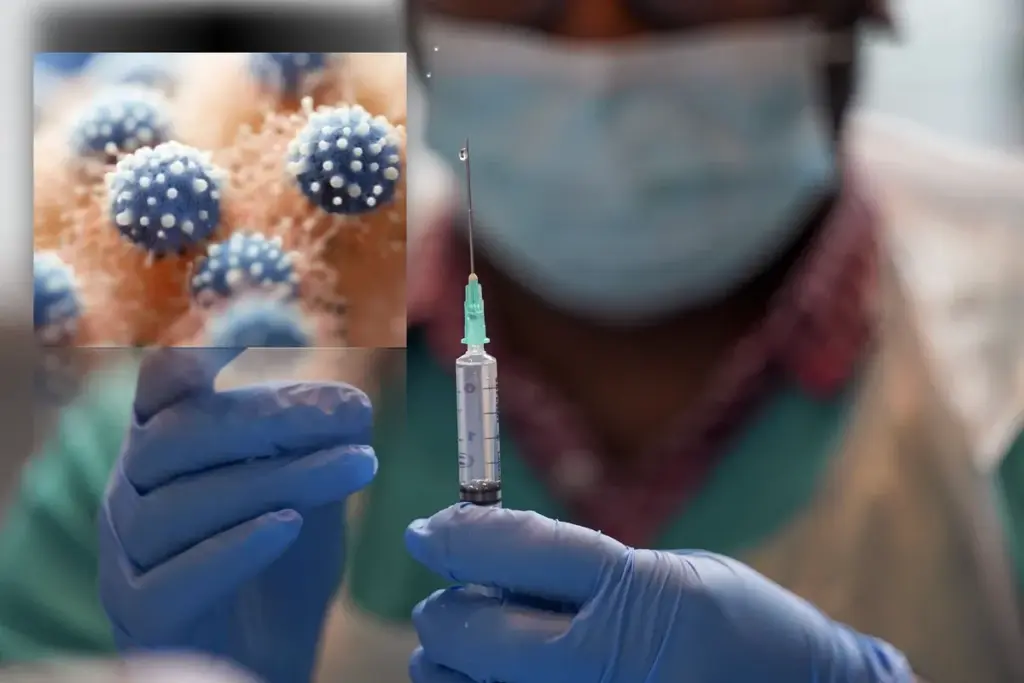 The Molecular Biology of the Virion