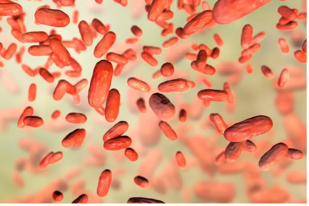 Pertussis: Overview and Definition