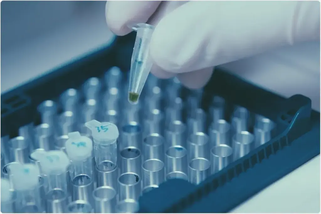 The Origin of the Name