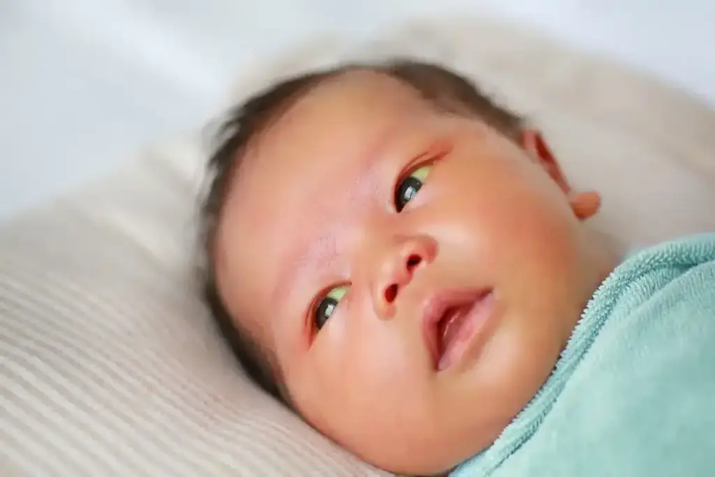 Digital Health and Predictive Nomograms