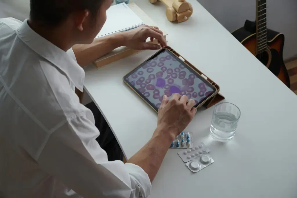 Bone Marrow Examination