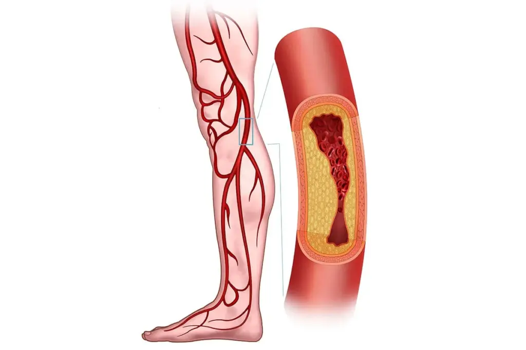 image 22 56 LIV Hospital