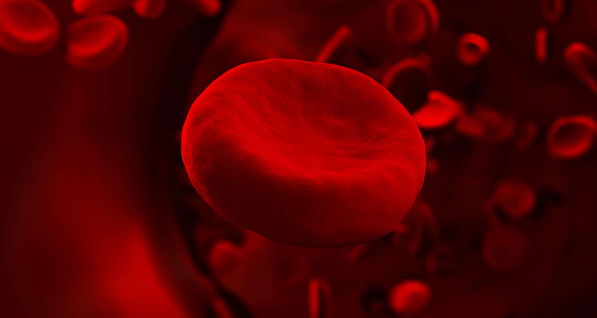 red blood cells clot vein scientific medical abstract concept transfer important elements blood protect body 3d illustration 1 scaled LIV Hospital