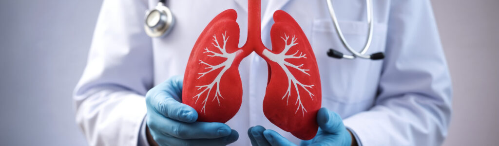 doctor holding model human lungs 1 LIV Hospital