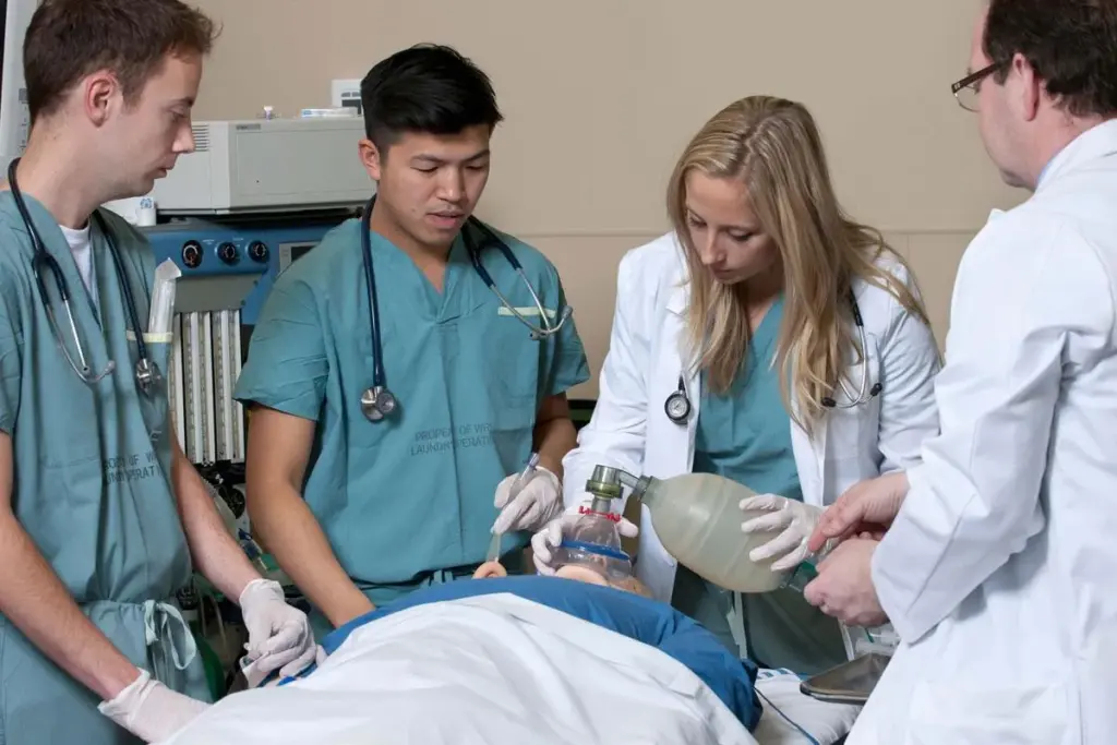 Surgery and Recovery Anesthesia Protocols