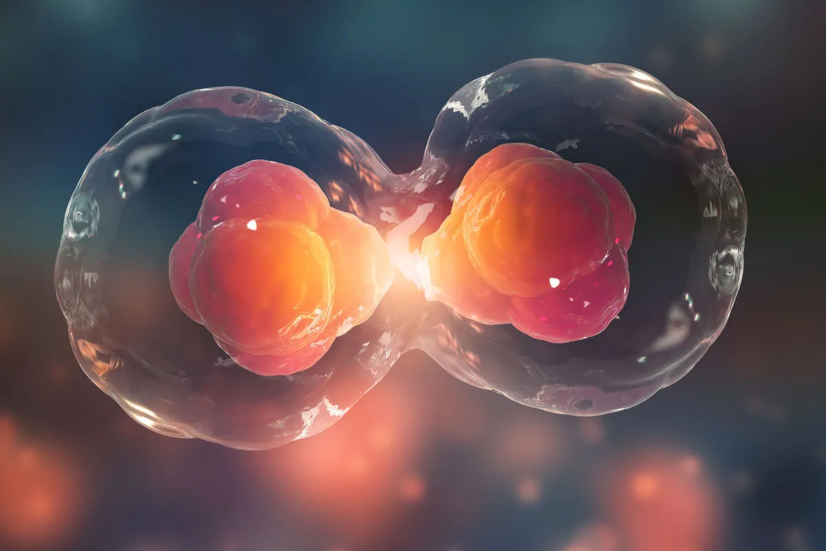 Regenerative Medicine