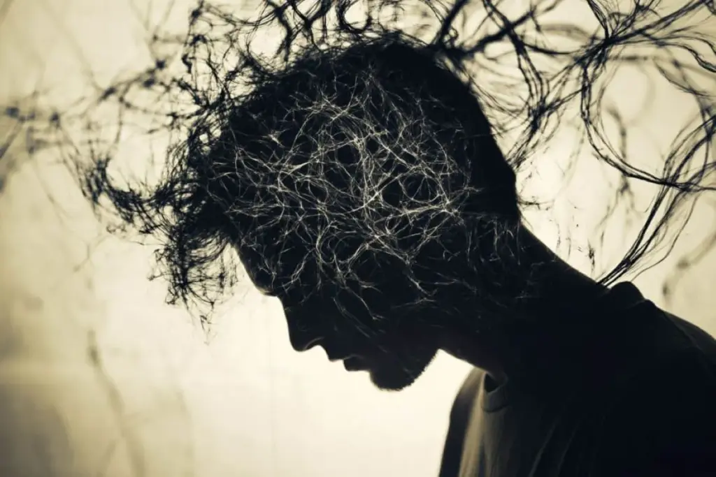 The Spectrum of Bipolar Disorders