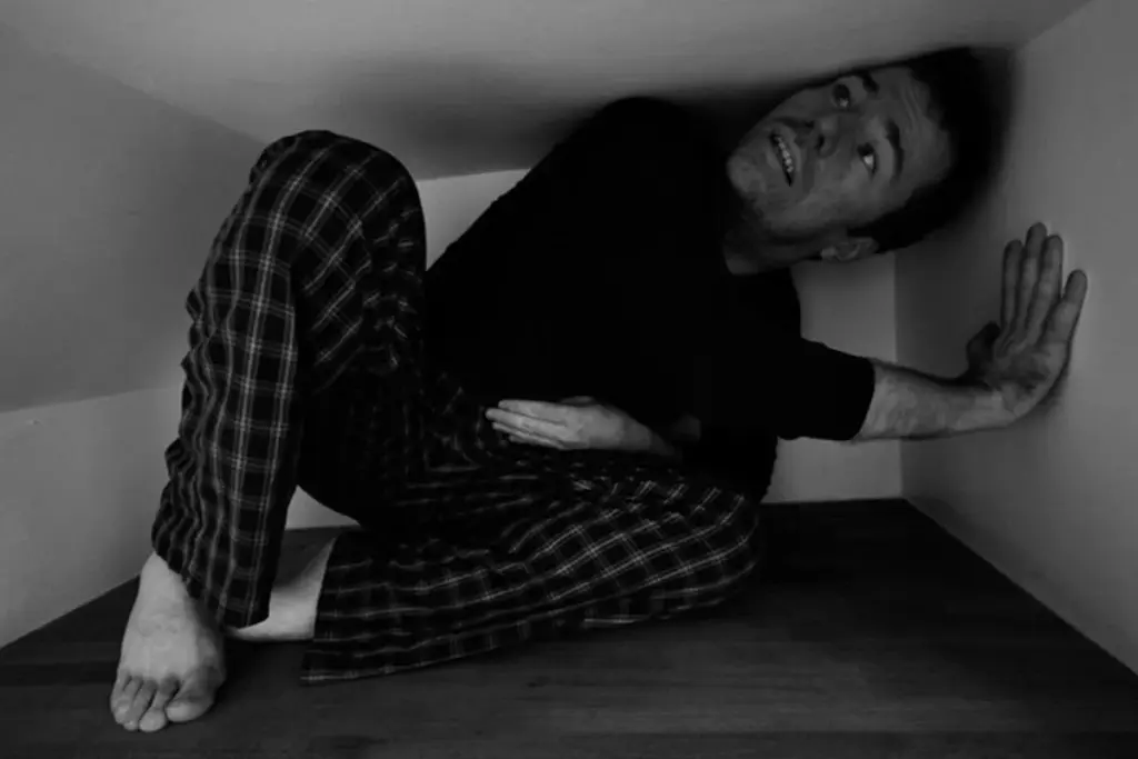 Impulsivity and Behavioral Risks