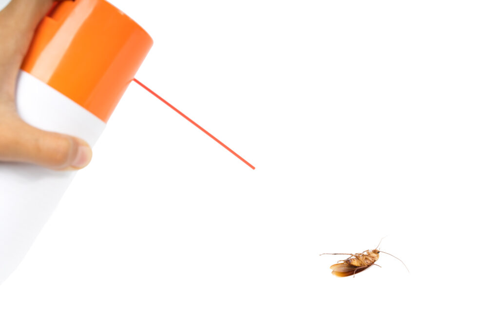 hand kill cockroach by sprayisolated white background LIV Hospital