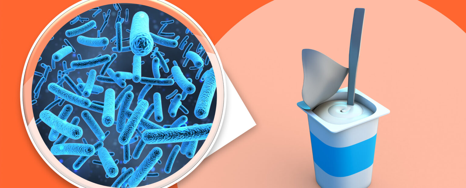 representation microorganisms with yogurt 1 1 LIV Hospital
