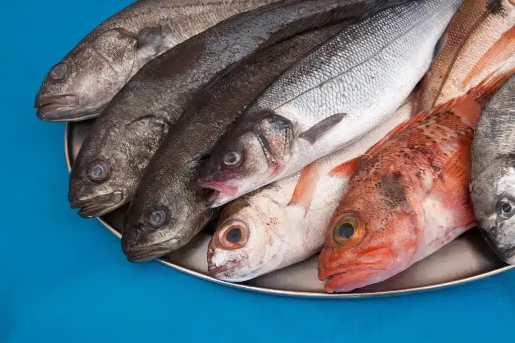 Which Fish Is Not Good for Kidney Disease Patients?