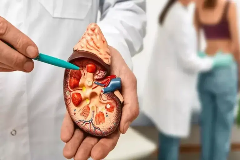 5 Stages of Kidney Rejection: Symptoms & Signs