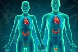 What Is the Difference Between Metabolic and Respiratory Acidosis?