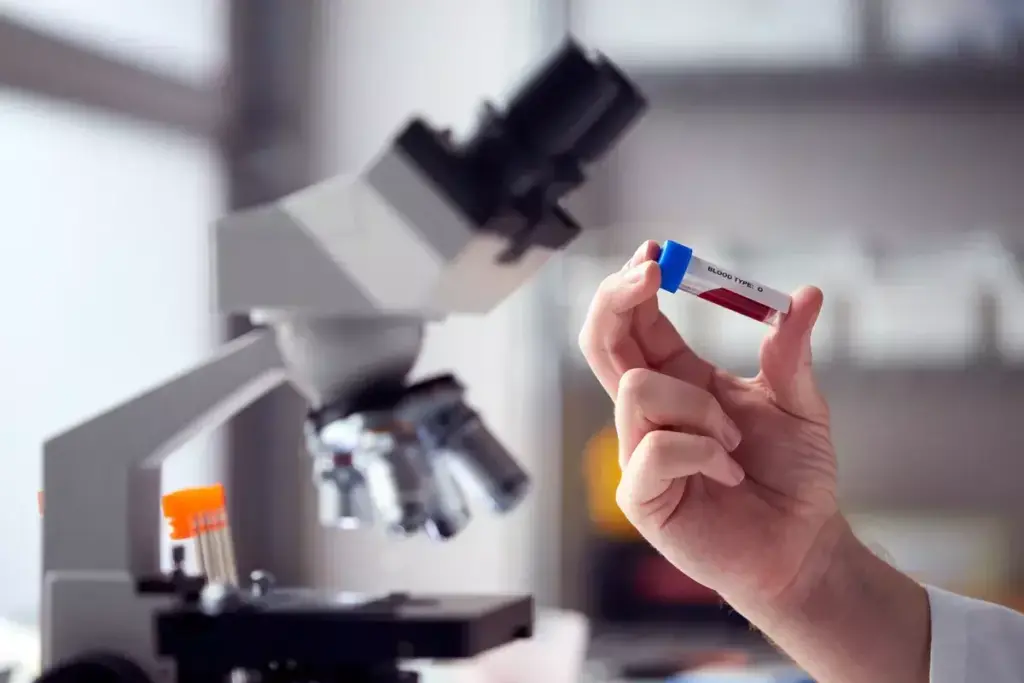 5 Key Blood Tests That Show Kidney Function