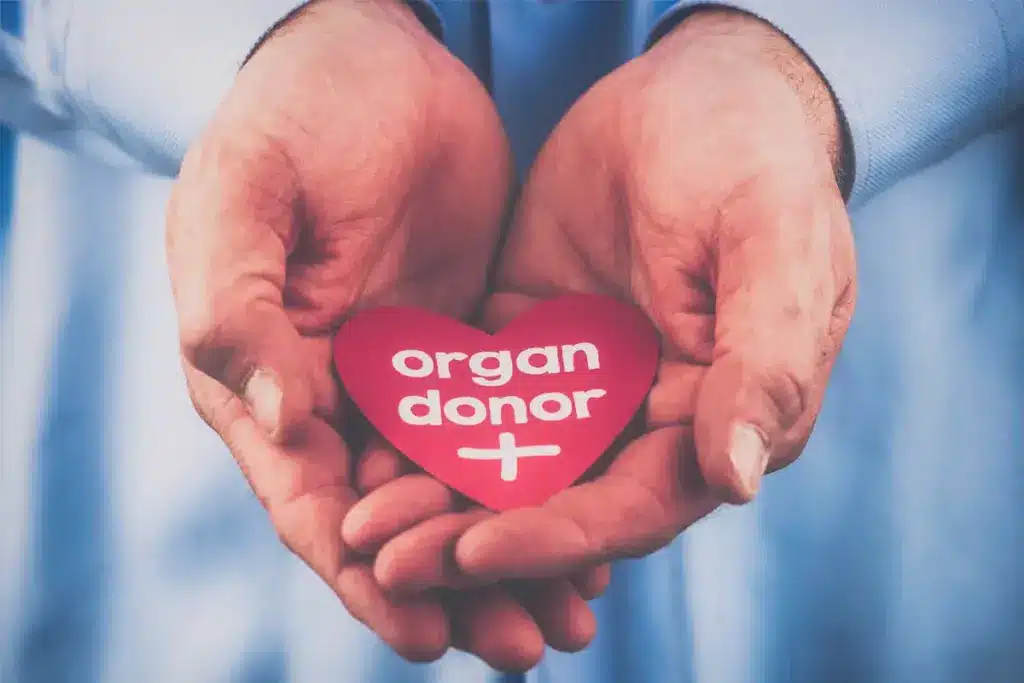 Organ Donor Statistics: How Many People Donate Organs 1 Organ Donor Statistics: How Many People Donate Organs
