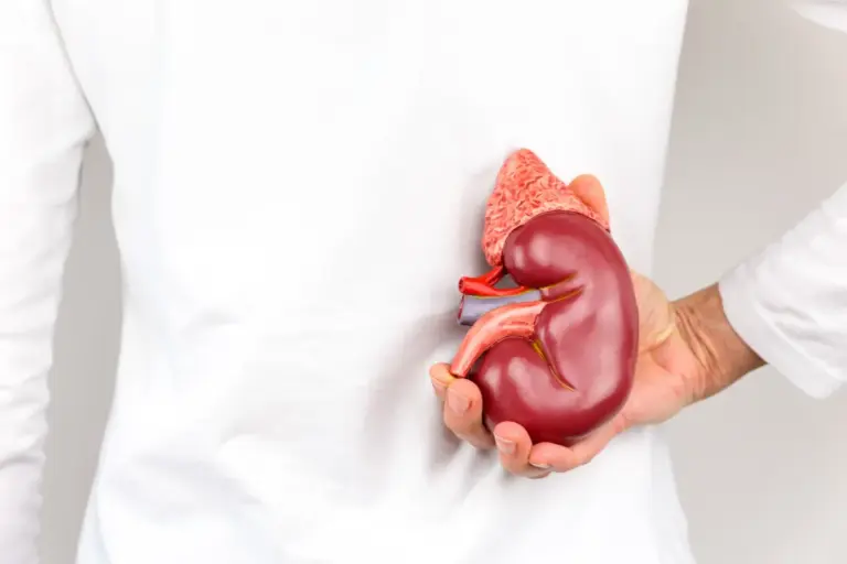 Can Kidney Disease Be Reversed? Understanding Renal Damage Recovery