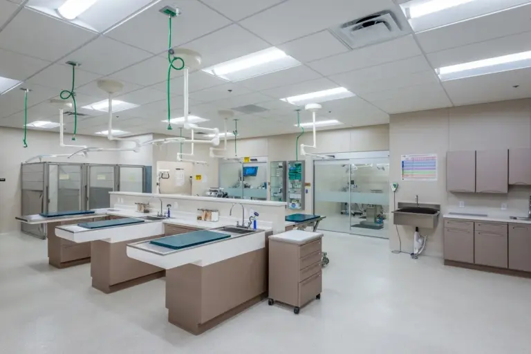 What Does a BUN Creatinine Ratio of 22 Mean?