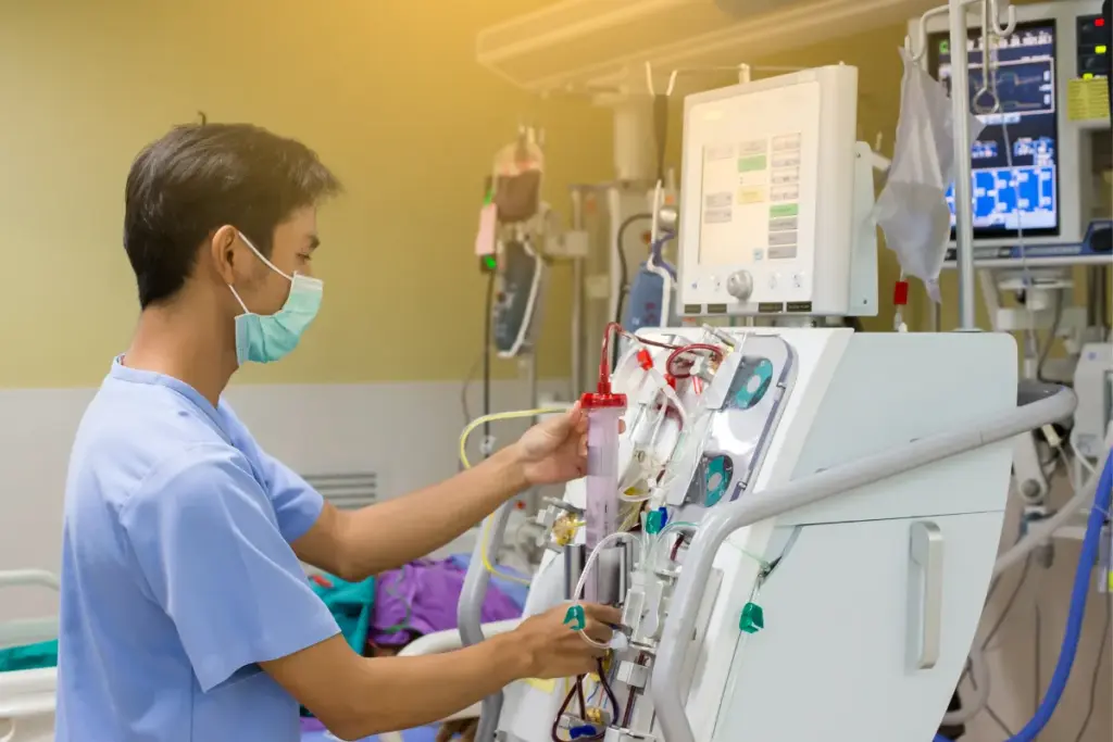 Can You Survive Without Kidneys? What Medical Science Reveals