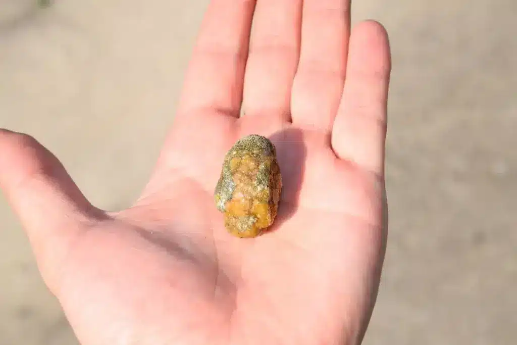 A detailed and anatomically accurate illustration of the kidney filtration process, focusing on the complex interaction of blood flow through the nephron. In the foreground, showcase the glomerulus with blood entering through afferent arterioles, while the renal tubules are visible in the midground, highlighting the reabsorption and secretion processes. Include a cross-sectional view of the kidney to provide context. In the background, display the renal pelvis and ureter, enhancing the understanding of the excretory system. The lighting should be soft and natural, simulating a laboratory environment, while employing a macro lens perspective to emphasize intricate details. The overall mood should be educational and insightful, capturing the vital functions of the kidney in a clear and engaging manner. How Does the Kidney Filter Blood Through the Excretory System?