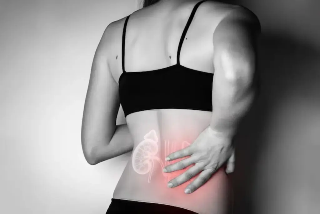 A detailed anatomical illustration showing the kidneys and their connection to anemia. In the foreground, a pair of healthy kidneys depicted in vibrant colors, with labels highlighting their functions related to red blood cell production. In the middle layer, a contrasting image of weakened kidneys in a softer color palette, illustrating signs of Chronic Kidney Disease (CKD), with diminished renal structures. Background elements should include a subtle gradient representing blood flow and oxygen, symbolizing the link to anemia. The lighting should be soft and diffused to evoke a sense of education and clarity. The angle can be slightly angled from above, focusing on the kidneys while allowing the viewer to understand their role in relation to anemia. The overall mood is informational and engaging, suitable for a medical article. Does Kidney Disease Cause Anemia? Understanding the Link Between CKD and Red Blood Cells