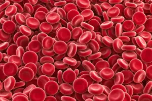 Can Anemia Cause Kidney Failure? Understanding the Connection Between CKD and Anemia