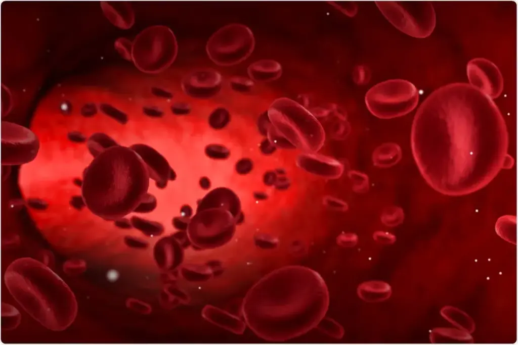 A close-up image depicting the biological connection between anemia and weight loss. In the foreground, a healthy plate of iron-rich foods like spinach, red meat, and lentils contrasts with a transparent human silhouette showing signs of weight loss, highlighted through a subtle glow to emphasize the connection. The middle ground features a stylized depiction of a red blood cell, symbolizing iron deficiency, floating among faint outlines of fat cells. The background is softly blurred, featuring a medical setting with anatomical charts on the walls, bathed in warm, natural lighting to create a calm and informative atmosphere. The lens should have a shallow depth of field to focus on the foreground elements, conveying a sense of urgency and importance regarding health awareness. Does Anemia Cause Weight Loss? Understanding the Connection Between Iron Deficiency and Your Weight
