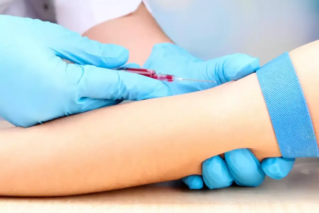 What Do Kidneys Do? A Complete Guide to Kidney Function and Blood Filtration