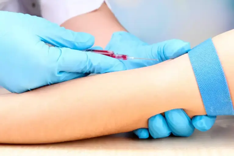 What Do Kidneys Do? A Complete Guide to Kidney Function and Blood Filtration