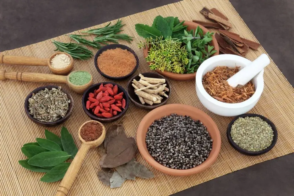 7 Herbs for Kidney Function and Natural Support