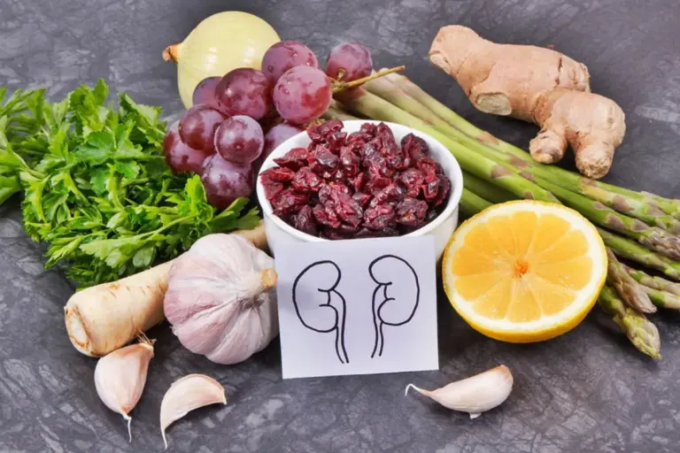 7 Kidney Support Herbs: Natural Remedies for Better Function