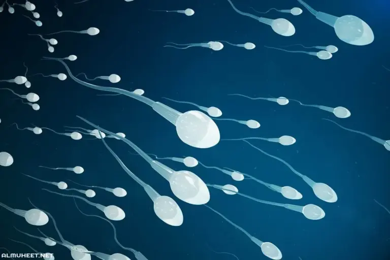 Male Infertility: Diagnosis and Solutions