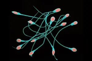 Edging: Meaning, Benefits, and Techniques