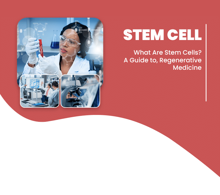 stem cell LIV Hospital