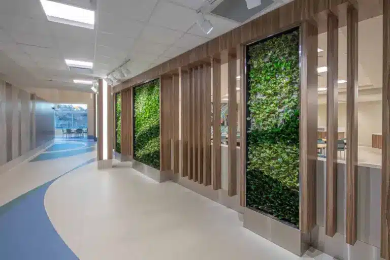 Andrology Surgery: Best Vital Procedure Info