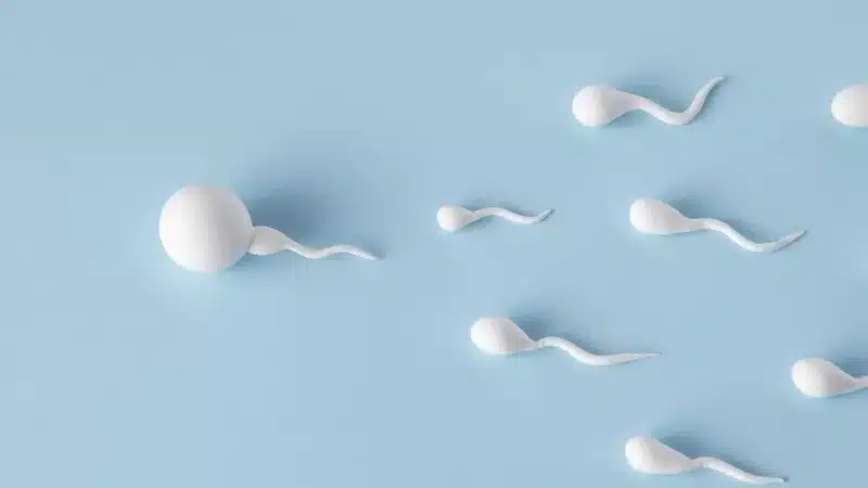 How To Make Sperm Stronger For Pregnancy Info