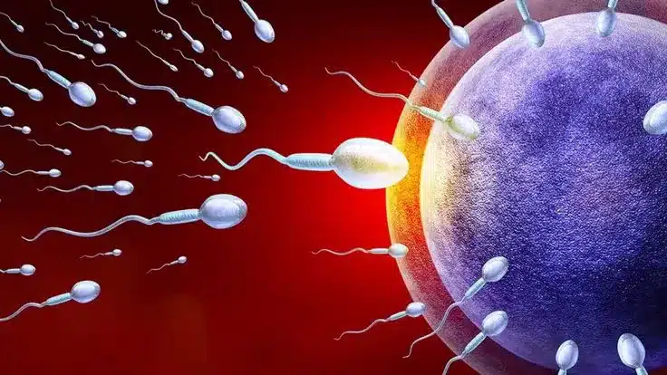 How To Make Sperm Stronger For Pregnancy Info
