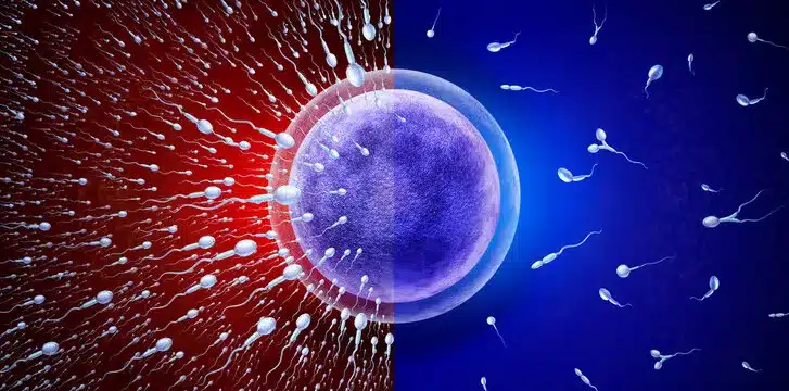 Male Fertility Age Chart: Best Vital Facts