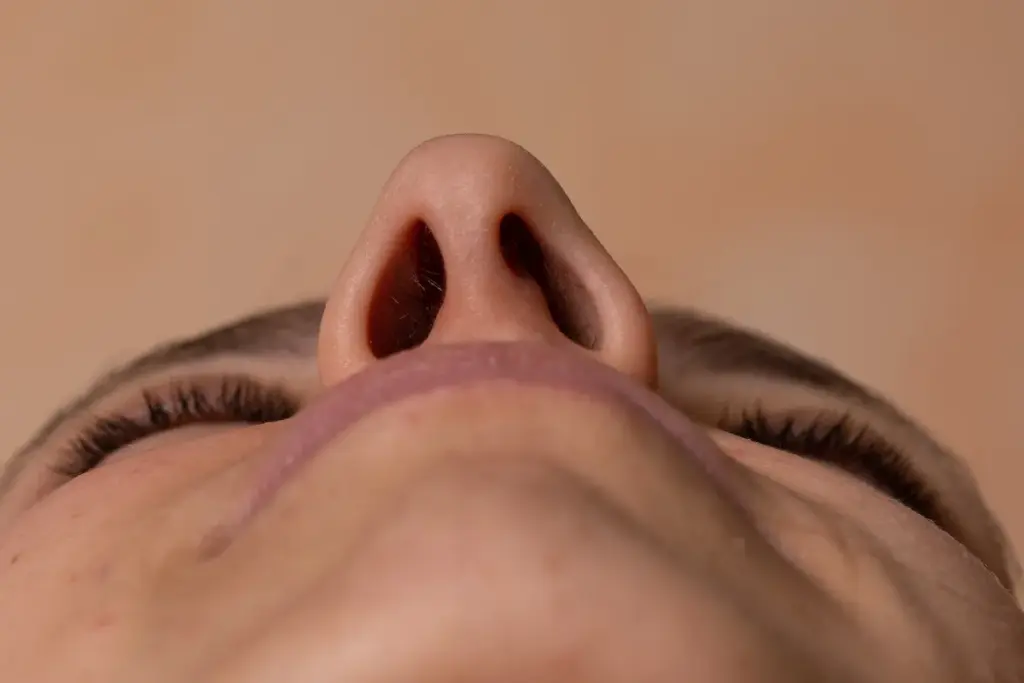 Deviated Septum Risks: Best Health Facts