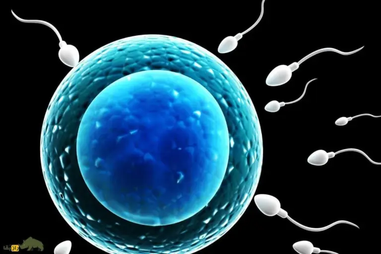 Does Nicotine Affect Sperm? Best Danger Facts