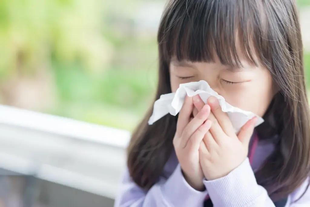 Flu Symptoms In Preschoolers: Vital Facts