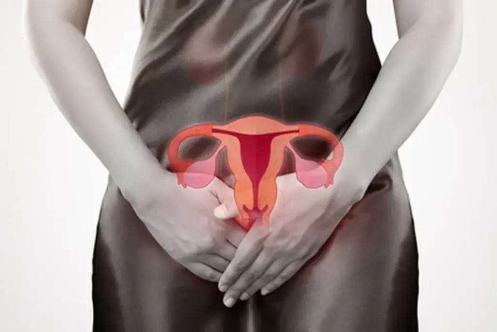 Urogynecologist: Best Vital Health Facts