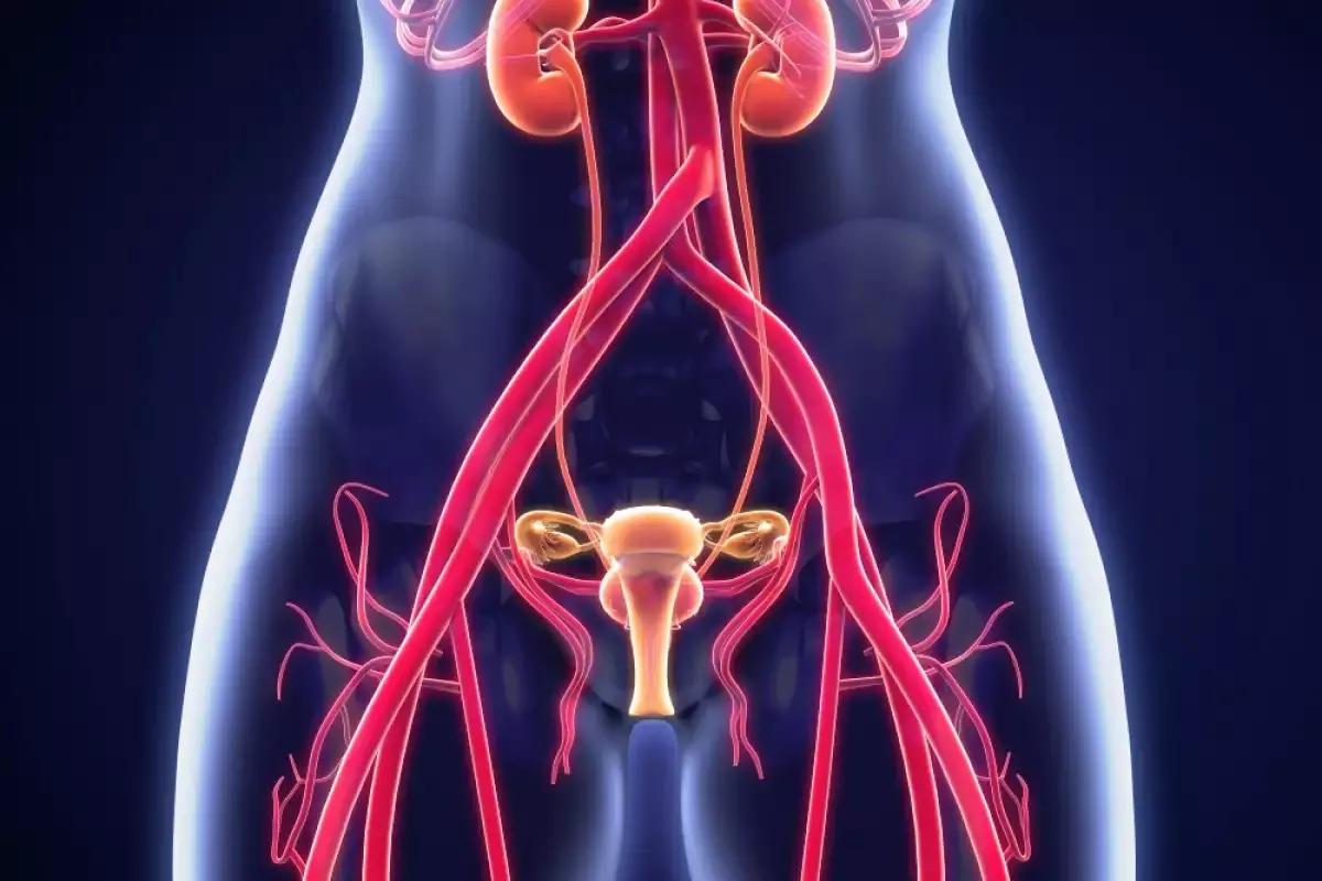 AUG 22046 image 1 LIV Hospital