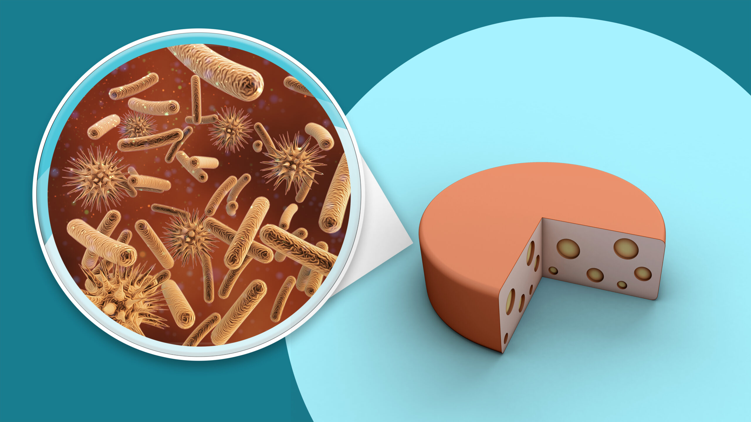 representation microorganisms with cake scaled LIV Hospital