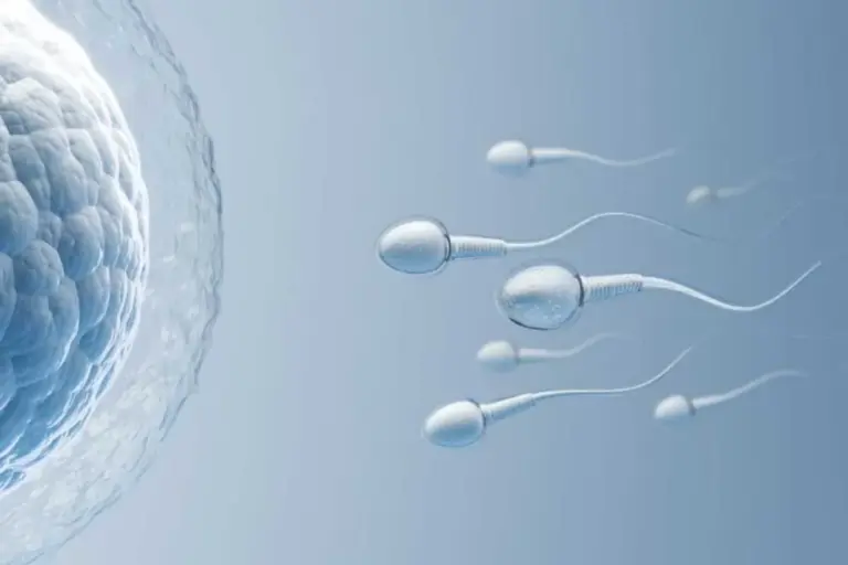 What Happens If We Release Sperm Daily? Info