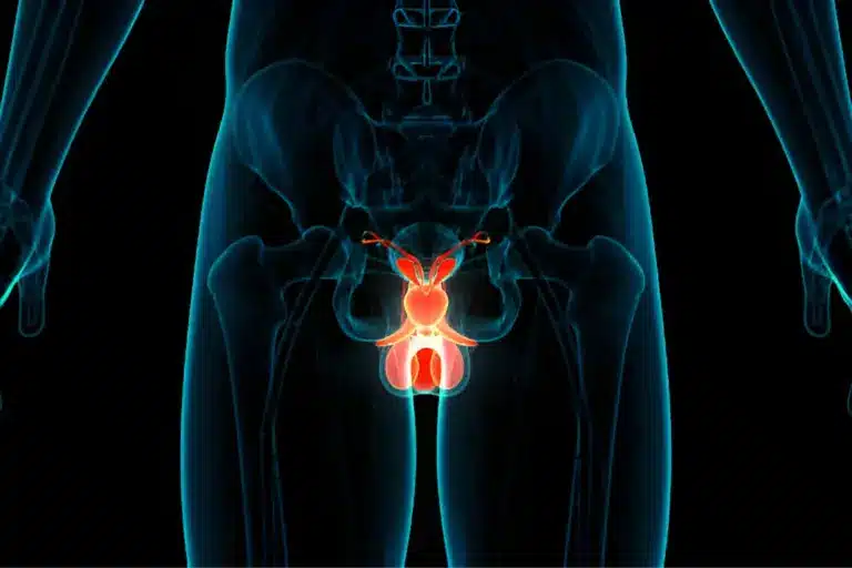Urethra Healing: Best Male Recovery Facts